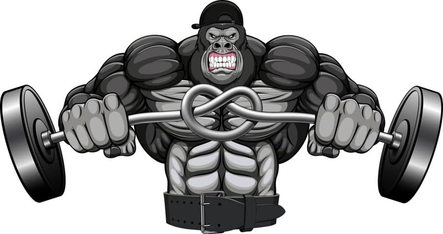 illustration of the strong garilly