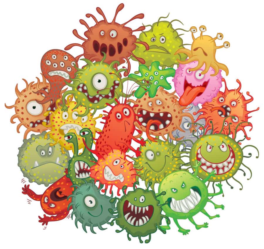 The accumulation of bacteria