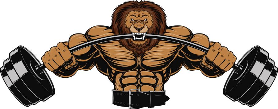 Angry lion