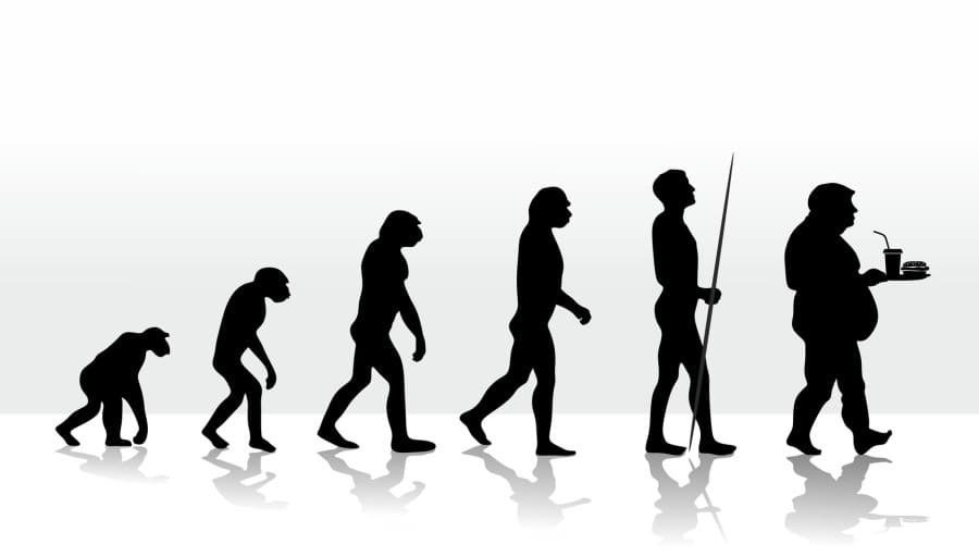 evolution2708d