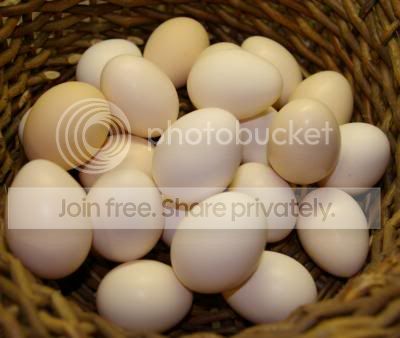 eggs1.jpg