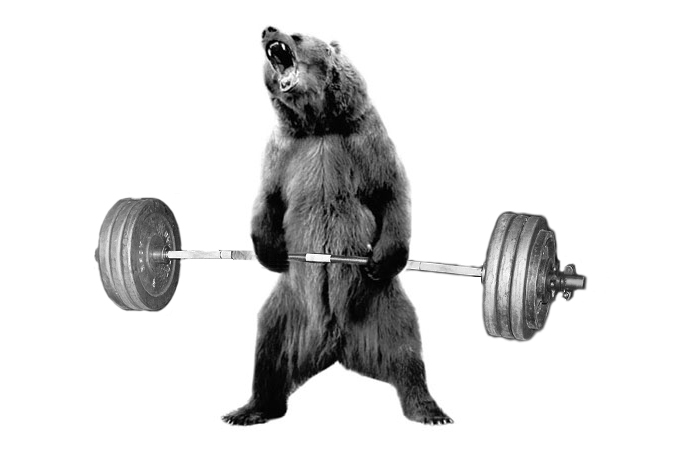 bear.jpg