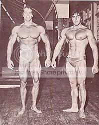 Arnold6.jpg