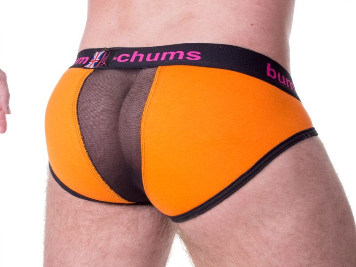 Bum-ChumsIn2coolerRear-1200x900.jpeg