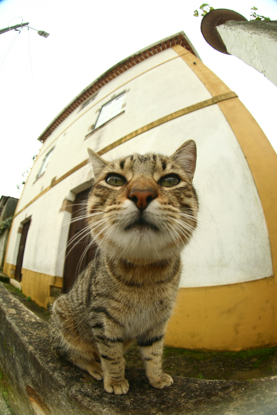 Fisheye_effect_stock_9_by_Stock_gallery.jpg