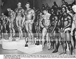 arnold25.jpg