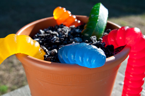 worlds-largest-gummy-worm-dirt-cake.jpg