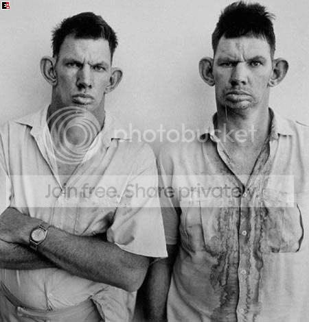 twins.jpg
