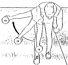 HorizontalAbduction.gif