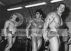 arnold3.jpg