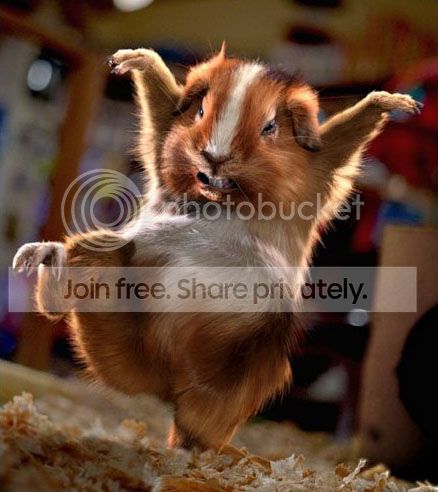 hamster_001.jpg