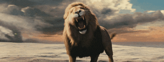 200.gif