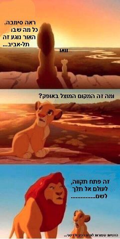 92379889.jpg