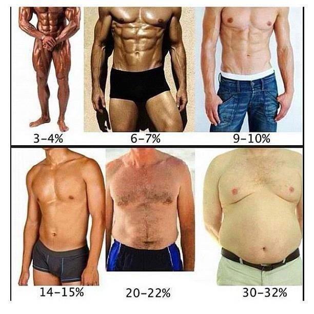 body-fat-percentage-men.jpg