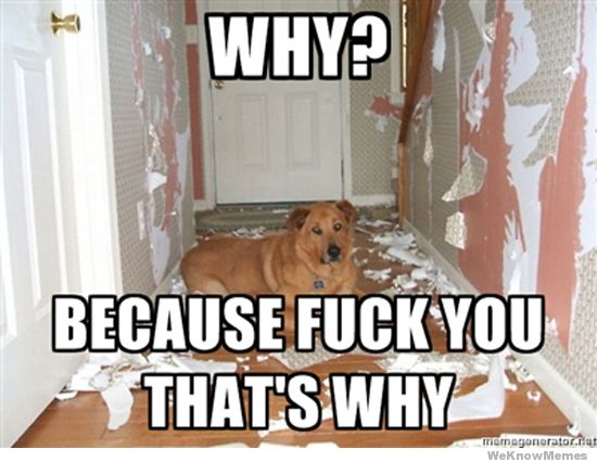 why-because-fuck-you-thats-why.jpg