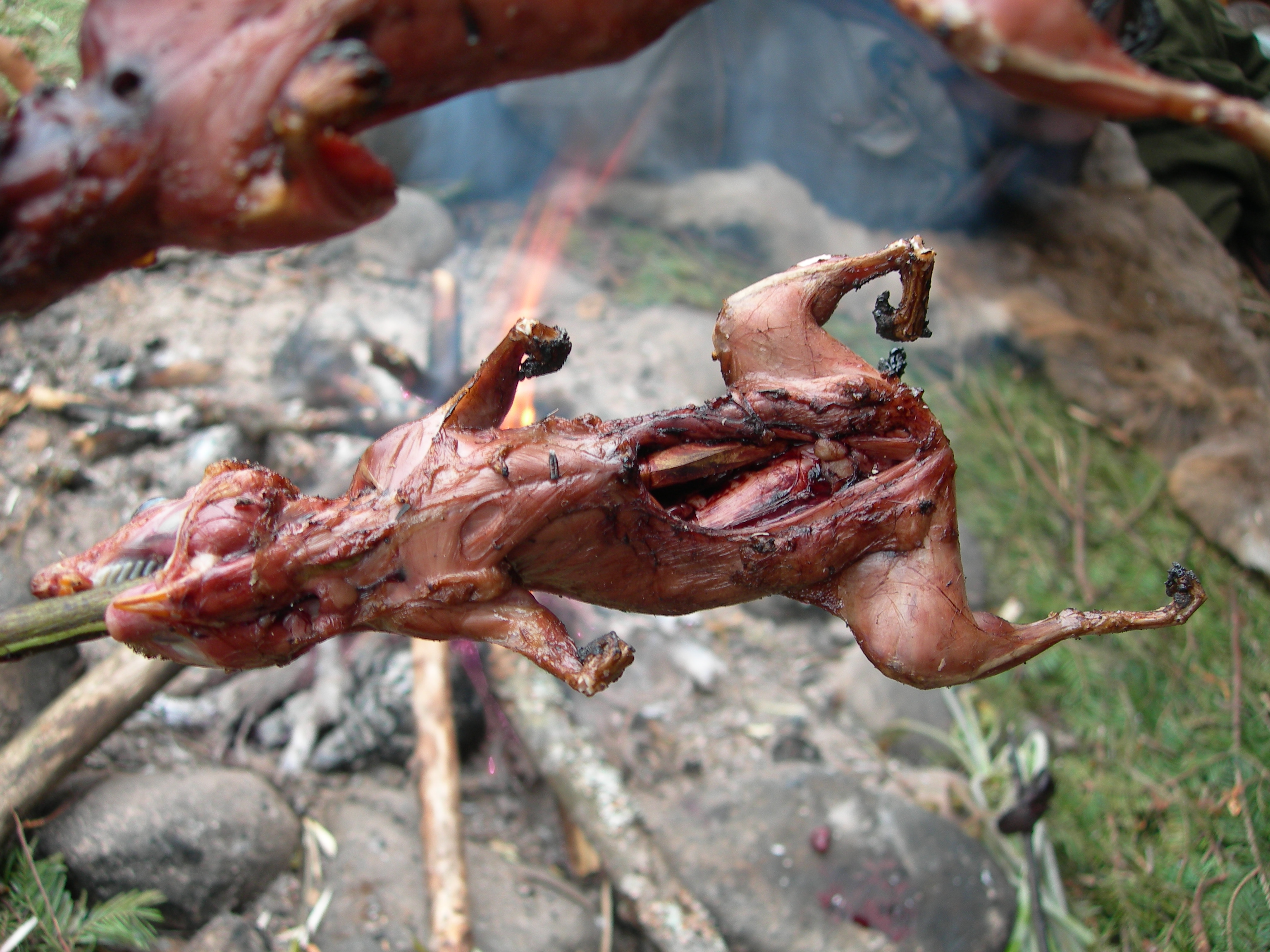 roasted-chipmunk-delicious.jpg