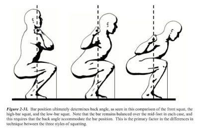 low+back+squat.jpg