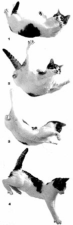 ae411a.jpg