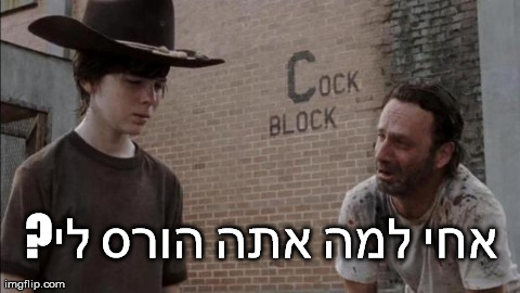 7ahgm.jpg