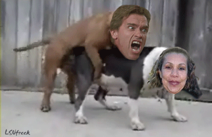 ArnoldsAffair.gif