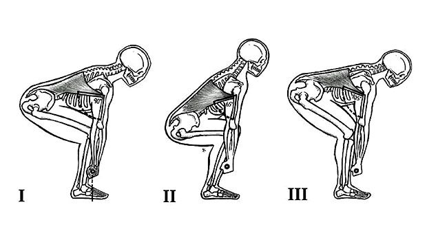 image3.jpg