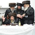 SLL_9503_a.jpg