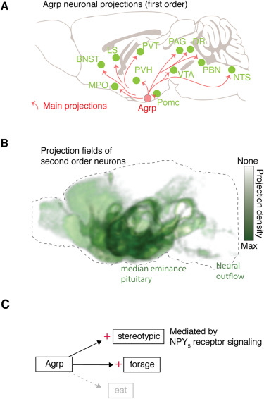 1-s2.0-S0092867415001907-figs5.jpg