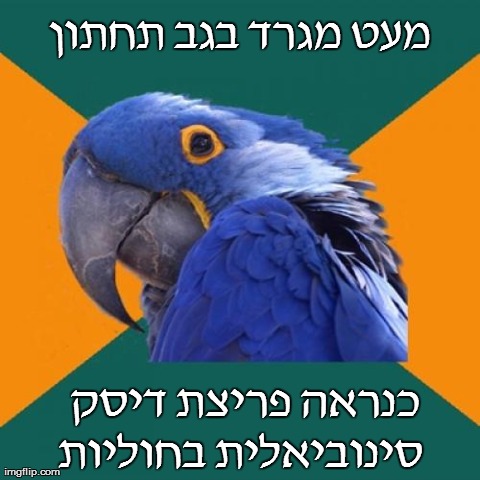 5nhqh.jpg