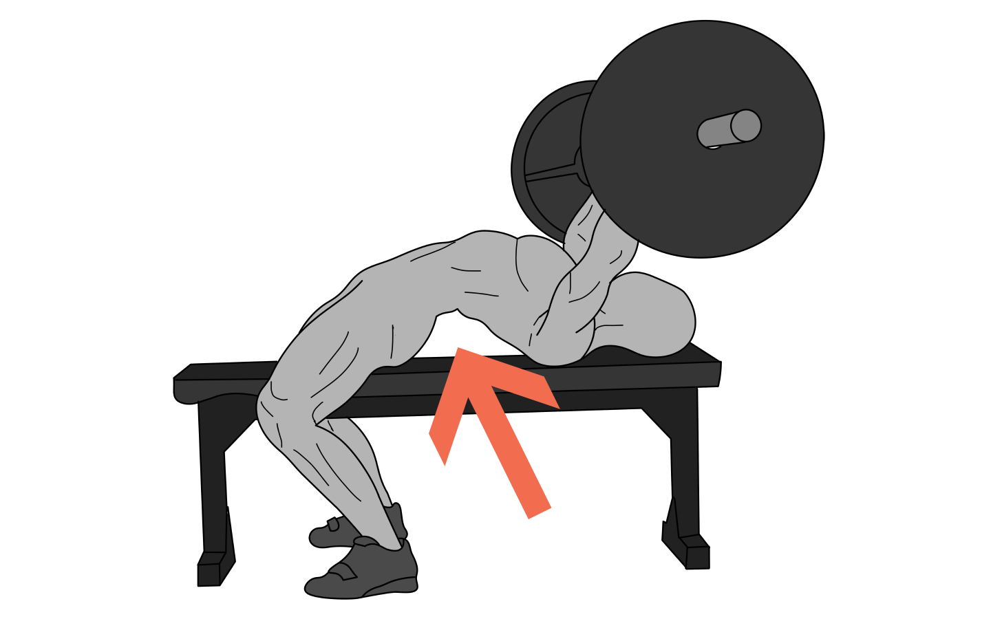 blog-bench-press.png