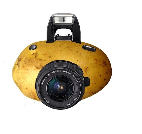 tumblr_inline_nb8dofZjaK1sp8ytl.jpg