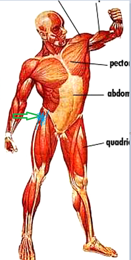 a0a2bd540922c043a91acbac69c8506c.png