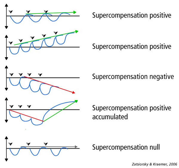 supercompensation-curve_scenario.jpg