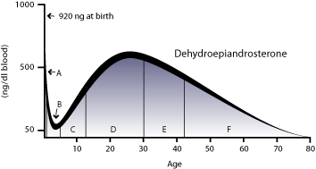 dhea_chart.gif