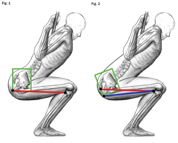 squat-fig-121.jpg