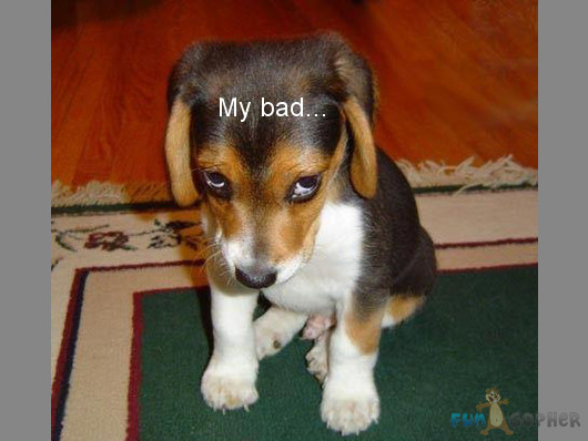 my-bad.jpg