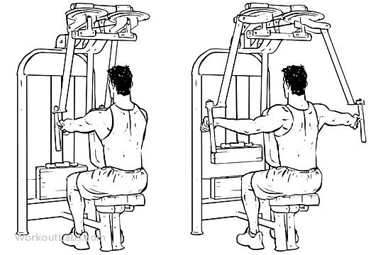 Rear_Delt_Flyes_Machine.png