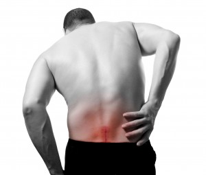 back1-300x255.jpg