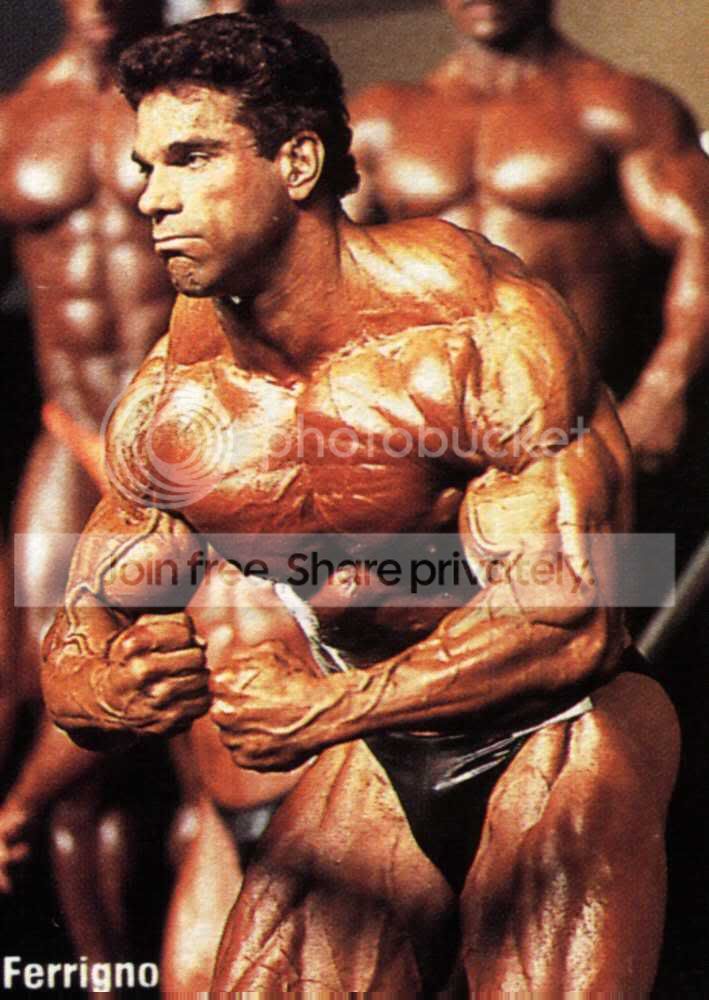 fer61.jpg