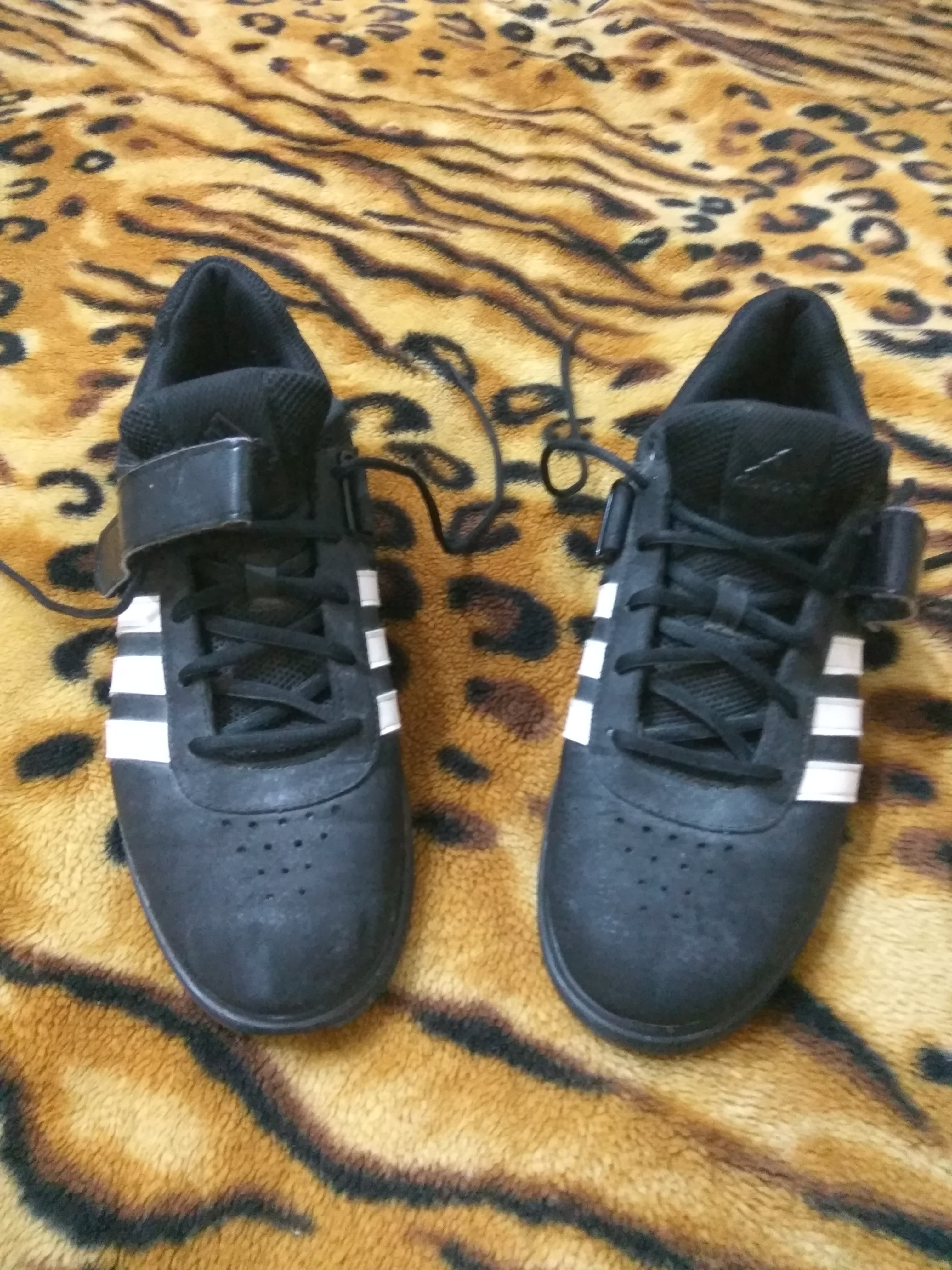 a60237be016d5ab0a30acb7f6a1489ef09ea7ec5.jpg
