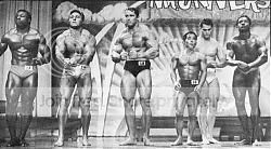 arnold15.jpg