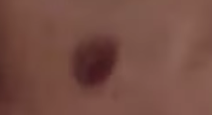 81d23aeaf472ae8715ff779455aaa54b.png