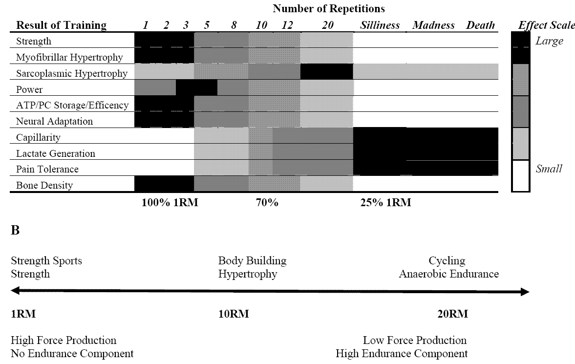 ripptoerepchart1.png