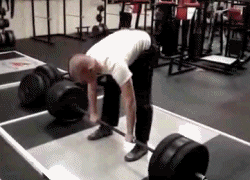 6d7bj8ehdkor.gif