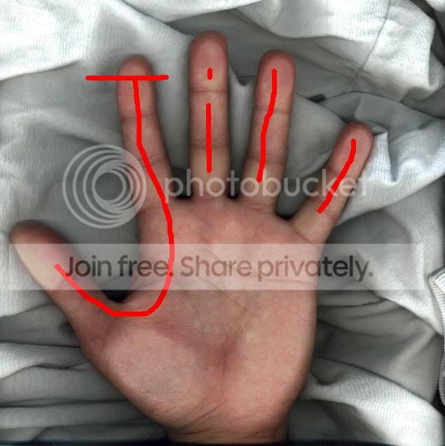 palm2.jpg