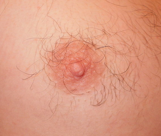 9fcab98a9866f6d9e5da7f77c7b35520.png