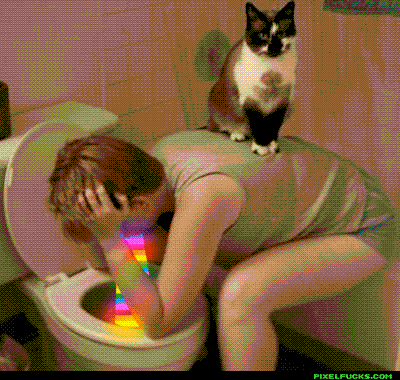 274.gif