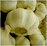 garlic.jpg