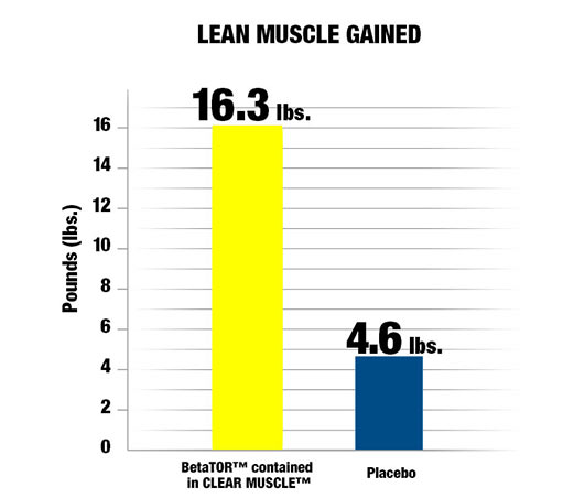 chart-1.jpg