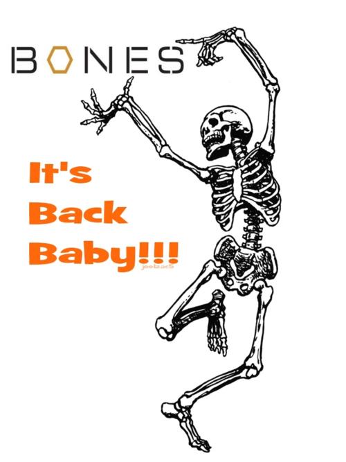Happy-Bones-Day-bones-30245734-500-667.jpg
