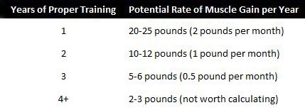 how-fast-can-you-build-muscle-2.jpg